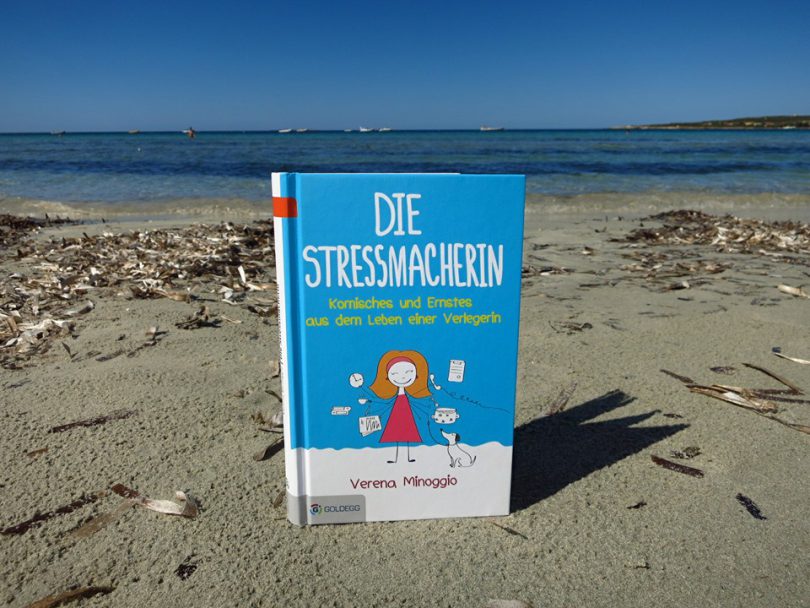 Die Stressmacherin Buch