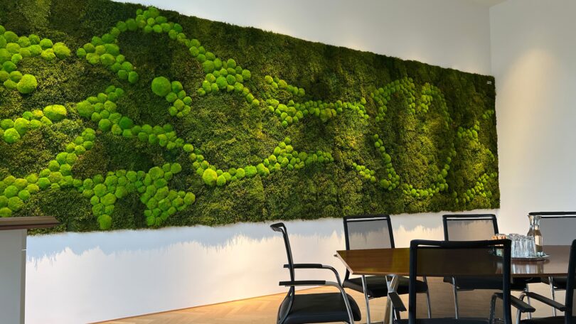 WildesMoos bei Münze Österreich